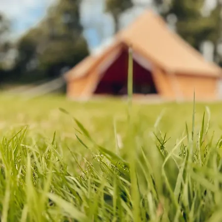 Furnished Bell Tent 4 *